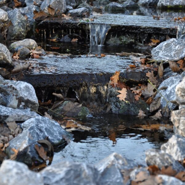 Afloop van water in de vijver door middel van Flagstones - natuurlijke waterval.